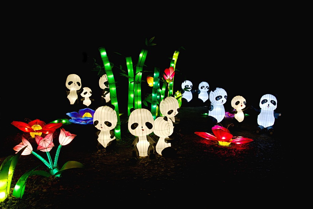 china light licht festival lichtshow show festiviteit glow evenement event chinees chinese verlichting draak dragon lichtfestival zoo